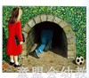 蒲蒲兰 隧道 安东尼·布朗 3-4-5-6岁儿童绘本 正版 商品缩略图4