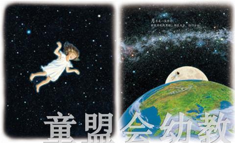 海豚 我眼中的世界  长江少年儿童出版社 商品图3