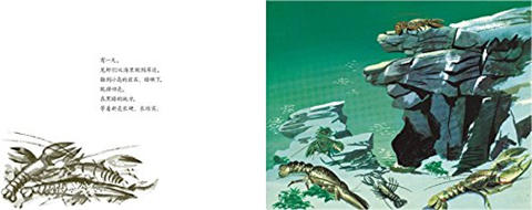 蒲蒲兰 小岛 曾获1947年凯迪克金奖 7-8-9-10岁儿童绘本 正版 商品图1