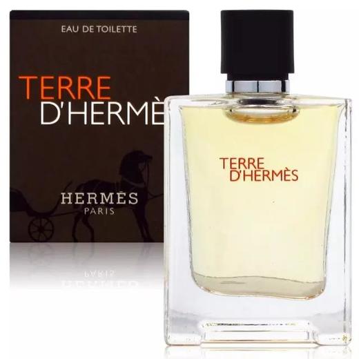 HERMES 爱马仕大地男士淡香水 Terre d‘Hermes EDT 商品图2
