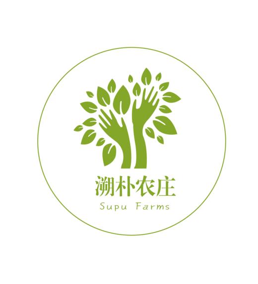 邮费专拍 商品图0