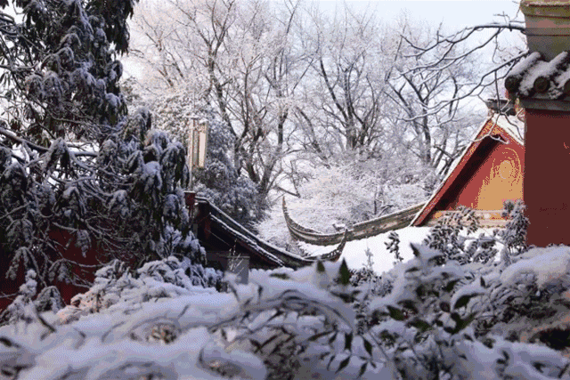 蒙顶山云栖谷别墅钜惠套餐