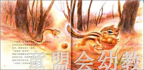 幼儿科学故事绘本：小橡子长大了 商品图2