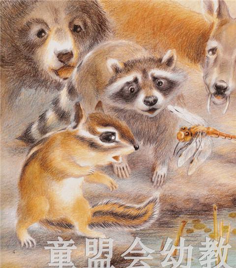 幼儿科学故事绘本：勇敢的绿巾小子 商品图2