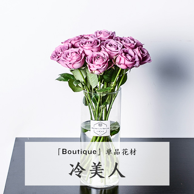 【自选系列】冷美人玫瑰-8枝-品种颜色随机
