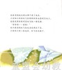 幼儿科学故事绘本：球球的秘密 复旦大学出版社 商品缩略图4