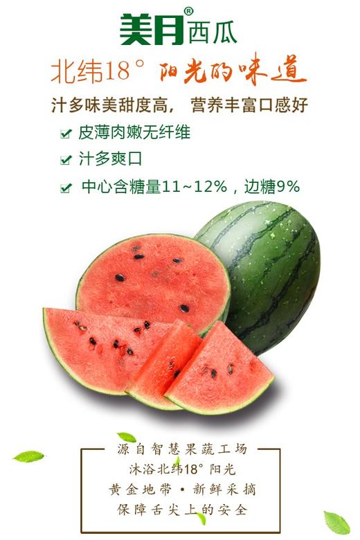预售美月西瓜良好农业认证基地，政府重视的研究基地，绿色认证!气泡柱包装! 商品图0
