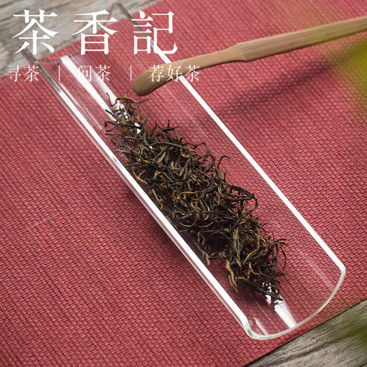 茶香记 金骏眉 温永胜亲作 桐木关 头春芽尖 拼配茶 甜淡蜜香 商品图1