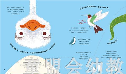启发 哇！我不知道的动物奥秘 北京联合出版社 0-3-4-5-6岁 商品图4