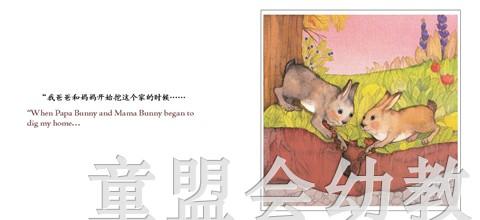地球的生物:地底下的生物 何塞帕拉蒙 3-4-5-6岁 正版 商品图1