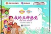 童心读世界认知卡片：我的五种感觉 丛书编辑部 3-4-5-6岁 正版 商品缩略图0