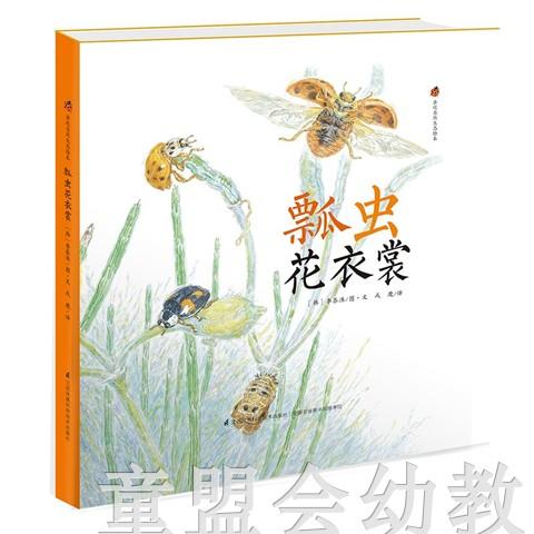 亲近自然生态绘本(蜘蛛、瓢虫、南瓜、橡树)套装书 江苏凤凰出版 商品图2