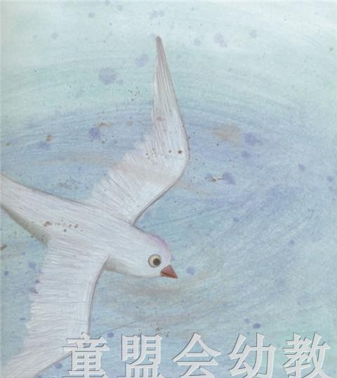 幼儿科学故事绘本：月亮国 ·星星国 商品图4