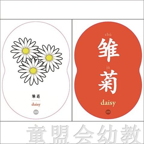 童心读世界认知卡片：地球的生物 丛书编辑部 3-4-5-6岁 正版 商品图2