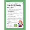 中医教你养五脏 商品缩略图1