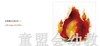四大元素：火 何塞帕拉蒙 3-4-5-6儿童读物 江苏文艺出版社 正版 商品缩略图3