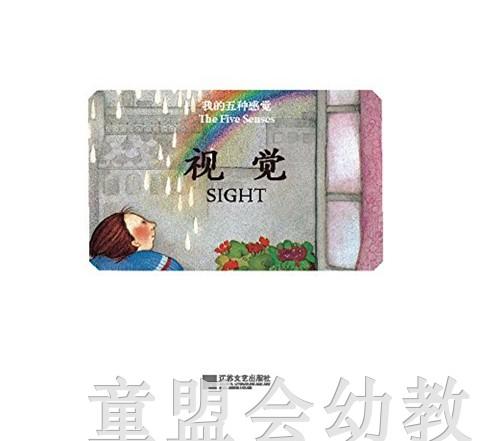 我的五种感觉：视觉 何塞帕拉蒙 3-4-5-6岁儿童读物 正版 商品图4