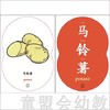 童心读世界认知卡片：地球的生物 丛书编辑部 3-4-5-6岁 正版 商品缩略图3