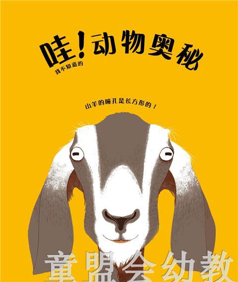 启发 哇！我不知道的动物奥秘 北京联合出版社 0-3-4-5-6岁 商品图2
