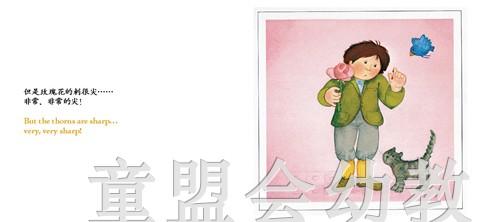 我的五种感觉：触觉 何塞帕拉蒙 3-4-5-6岁儿童读物  正版 商品图4