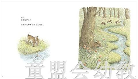 蒲蒲兰 妈妈，为什么 谷川俊太郎著 3-4-5-6岁儿童读物 正版 商品图4