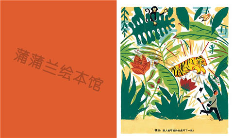 蒲蒲兰 面具丛林 劳伦特·莫罗 3-4-5-6岁儿童读物 正版 商品图1