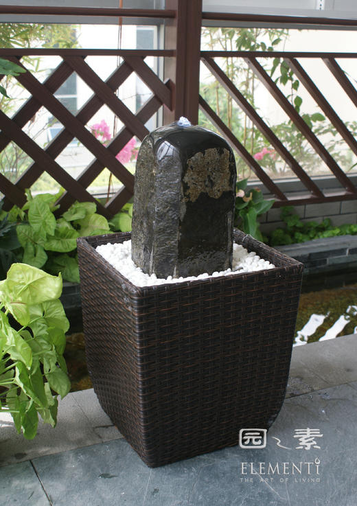 达摩CFP19 商品图0