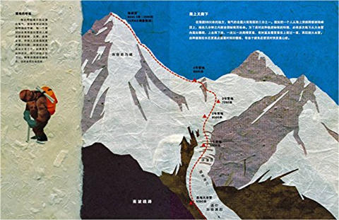 蒲蒲兰 攀登世界最高峰 斯蒂夫·詹金斯 7-8-9-10岁儿童读物 正版 商品图4