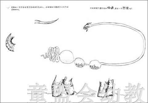 我画恐龙时代 安德鲁·平德尔  华东师范大学出版社 商品图4