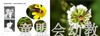 蒲蒲兰 水中的光亮 付新华 7-8-9-10岁儿童绘本 正版 商品缩略图1