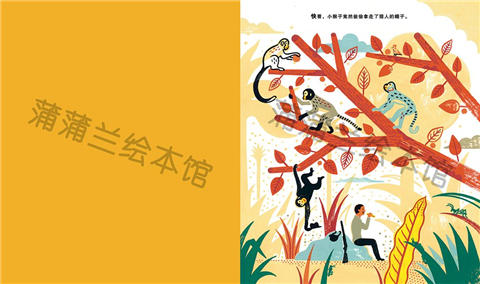 蒲蒲兰 面具丛林 劳伦特·莫罗 3-4-5-6岁儿童读物 正版 商品图2