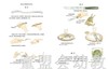 启发 完美的客人 北京联合出版社 0-3-4-5-6岁 商品缩略图2