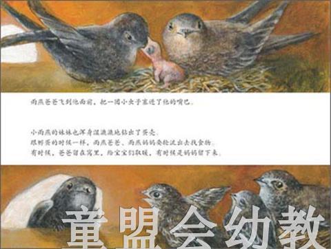 海豚 燕子的旅行 安娜·莫勒 3-4-5-6岁儿童读物 正版 商品图4