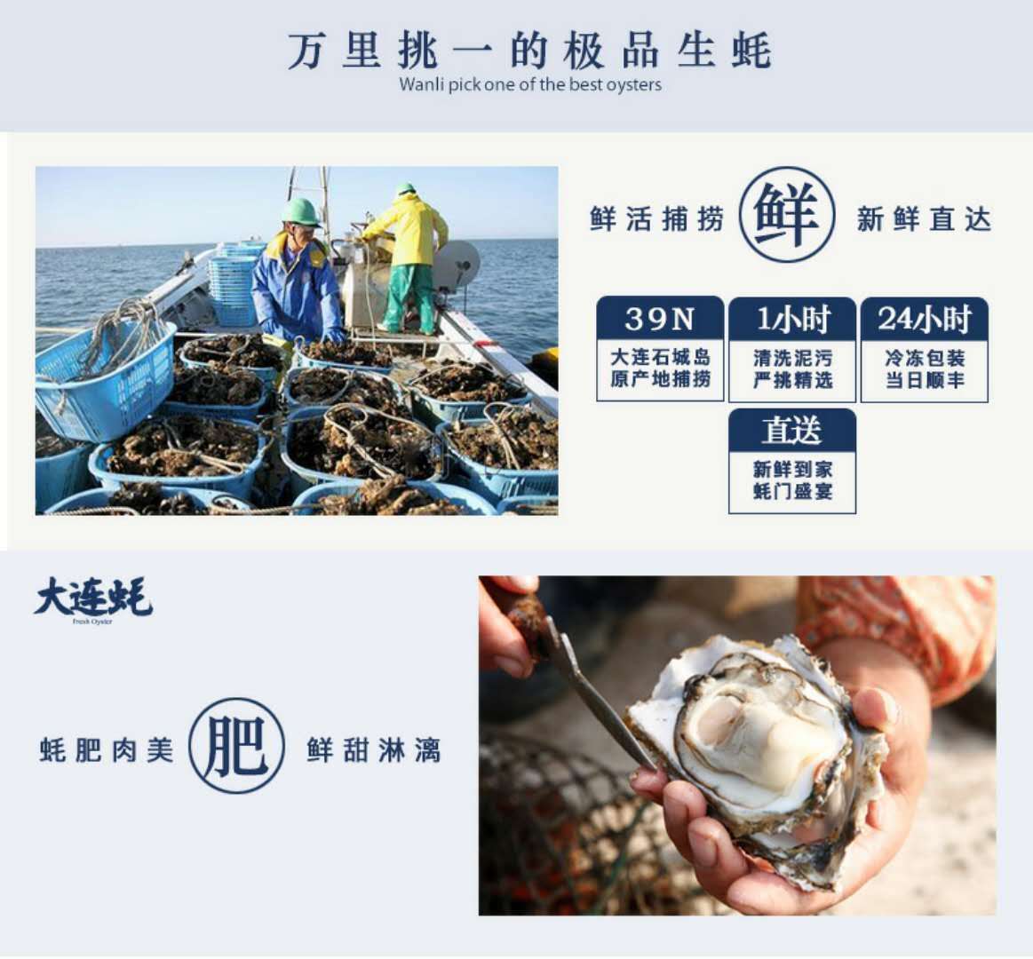 【淘特产】大连蚝哥精品生蚝(海蛎子)5斤装