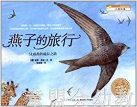 海豚 燕子的旅行 安娜·莫勒 3-4-5-6岁儿童读物 正版