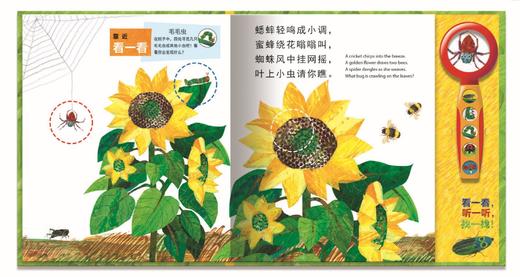 带有3倍放大镜的有声书《你发现了什么？》艾瑞克•卡尔特别定制 商品图1