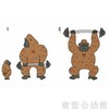 信谊宝宝起步走 爸爸的图画书 明天出版社 正版 3-6周岁 商品缩略图1