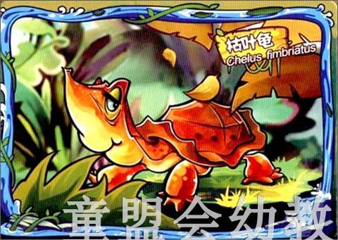 AR小百科热带雨林（新）3-4-5-6岁儿童读物 正版 商品图2