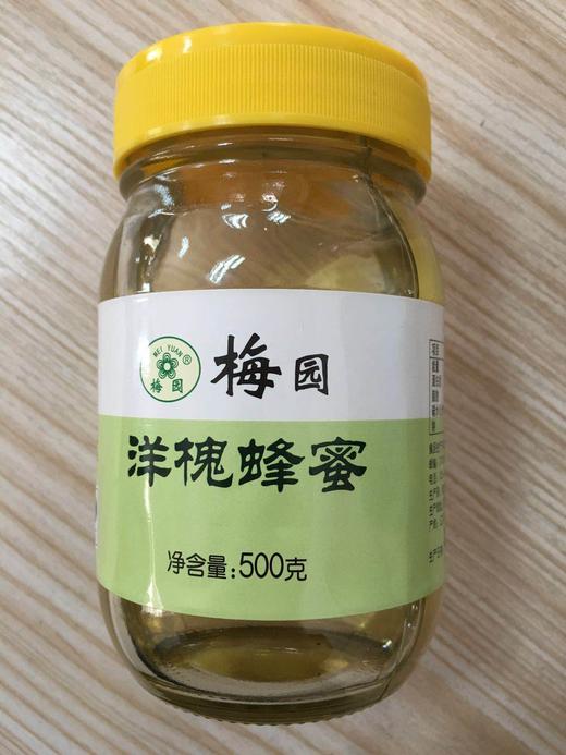 梅园洋槐蜂蜜 商品图0