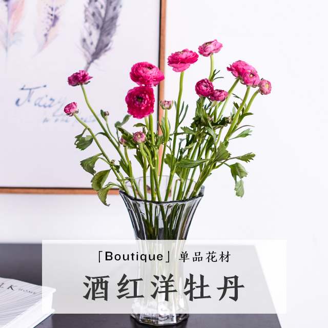 「鲜花花材」酒红洋牡丹-10枝-酒红色-国产