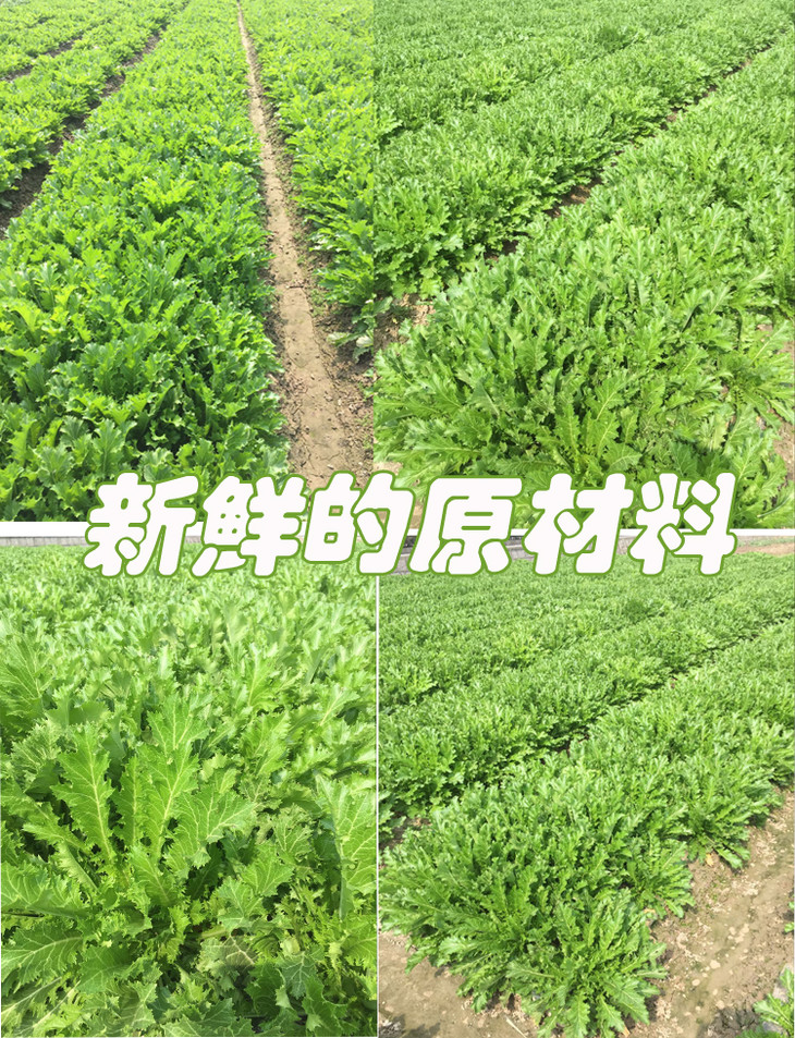 绍兴慈溪长梅菜干干货 梅干菜扣肉 长菜雪里蕻农家特产500克