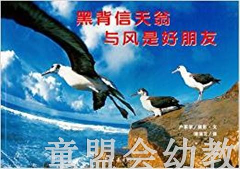 蒲蒲兰 黑背信天翁与风使好朋友 卢冢学 3-4-5-6岁儿童读物 正版 商品图0