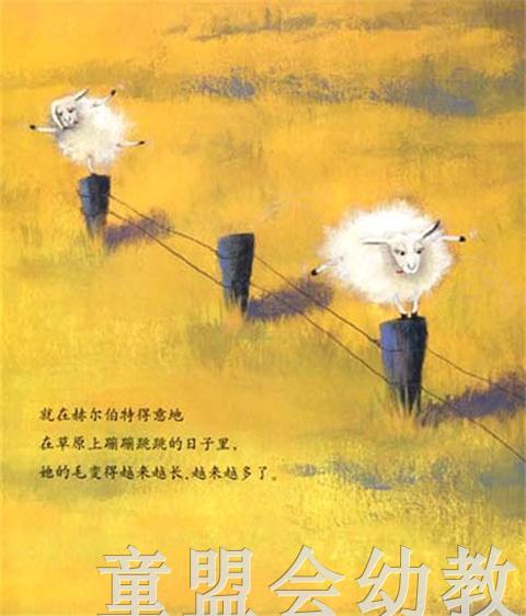海豚 有个性的羊 湖北美术出版社 商品图1