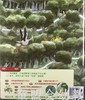 蒲蒲兰 蛋糕哪儿去了？郑宗琼 3-4-5-6岁儿童读物 正版 商品缩略图1