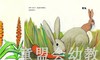 蒲蒲兰 翻翻猜猜绘本  薛蓝·约纳科维奇 3-4-5-6岁儿童读物 正版 商品缩略图2