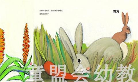 蒲蒲兰 翻翻猜猜绘本  薛蓝·约纳科维奇 3-4-5-6岁儿童读物 正版 商品图2