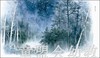 海豚 心喜阅绘本馆：樱花明年会再开（精） 长江少年儿童出版社 商品缩略图1