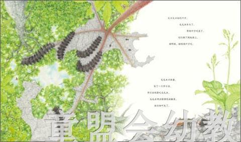 海豚 虎凤蝶 长江少年儿童出版社 商品图1