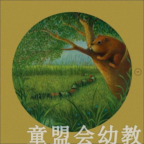 海豚 打开画册看自然 长江少年儿童出版社 商品图3