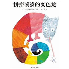 信谊绘本（精） 拼拼凑凑的变色龙 明天出版社 正版 3-6岁